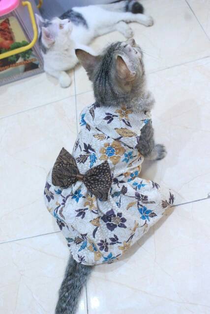 Dress batik bunga coklat lucu untuk kucing dan anjing size S M L XL