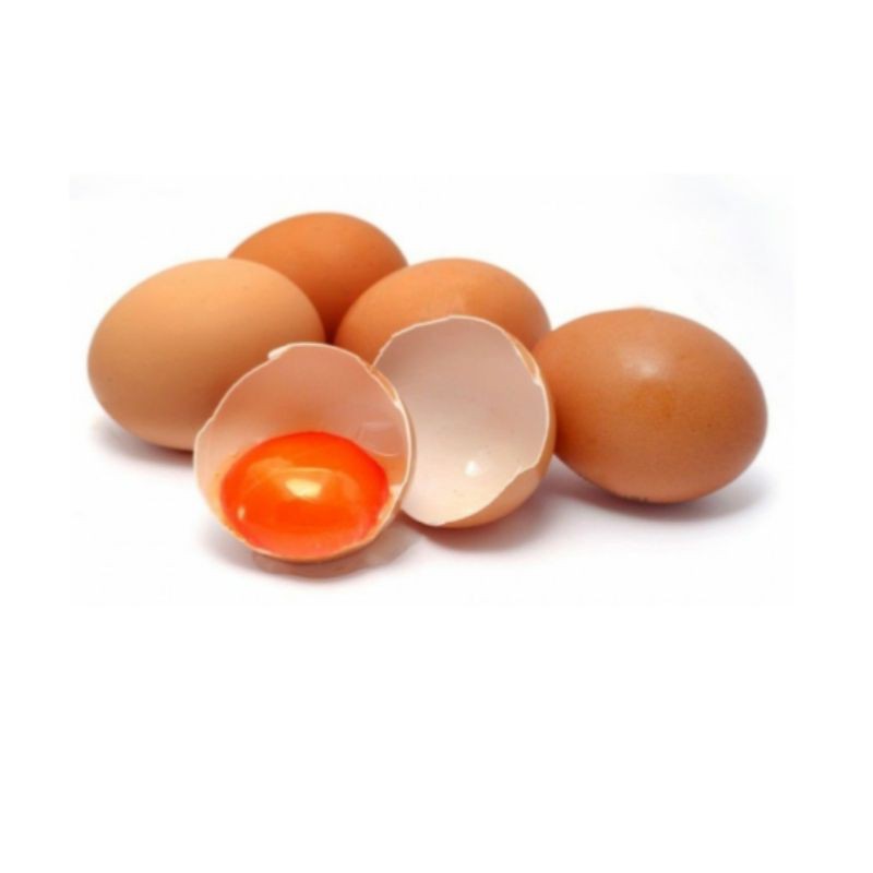 TELOR AYAM OMEGA 3 ORGANIK PREMIUM SEHAT BERKUALITAS 10 PCS / PACK