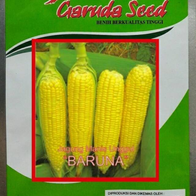 Binih jagung manis BARUNA 50gr / Bibit Jagung Manis / Biji Jagung Manis / Jagung Manis