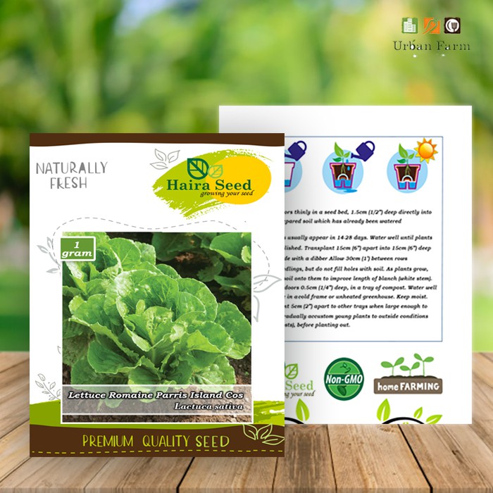 Benih-Bibit Selada Green Romaine Parris Island Cos (Haira Seed)