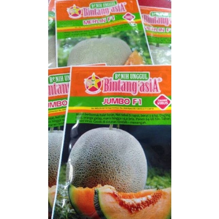 JUMBO F1 Melon