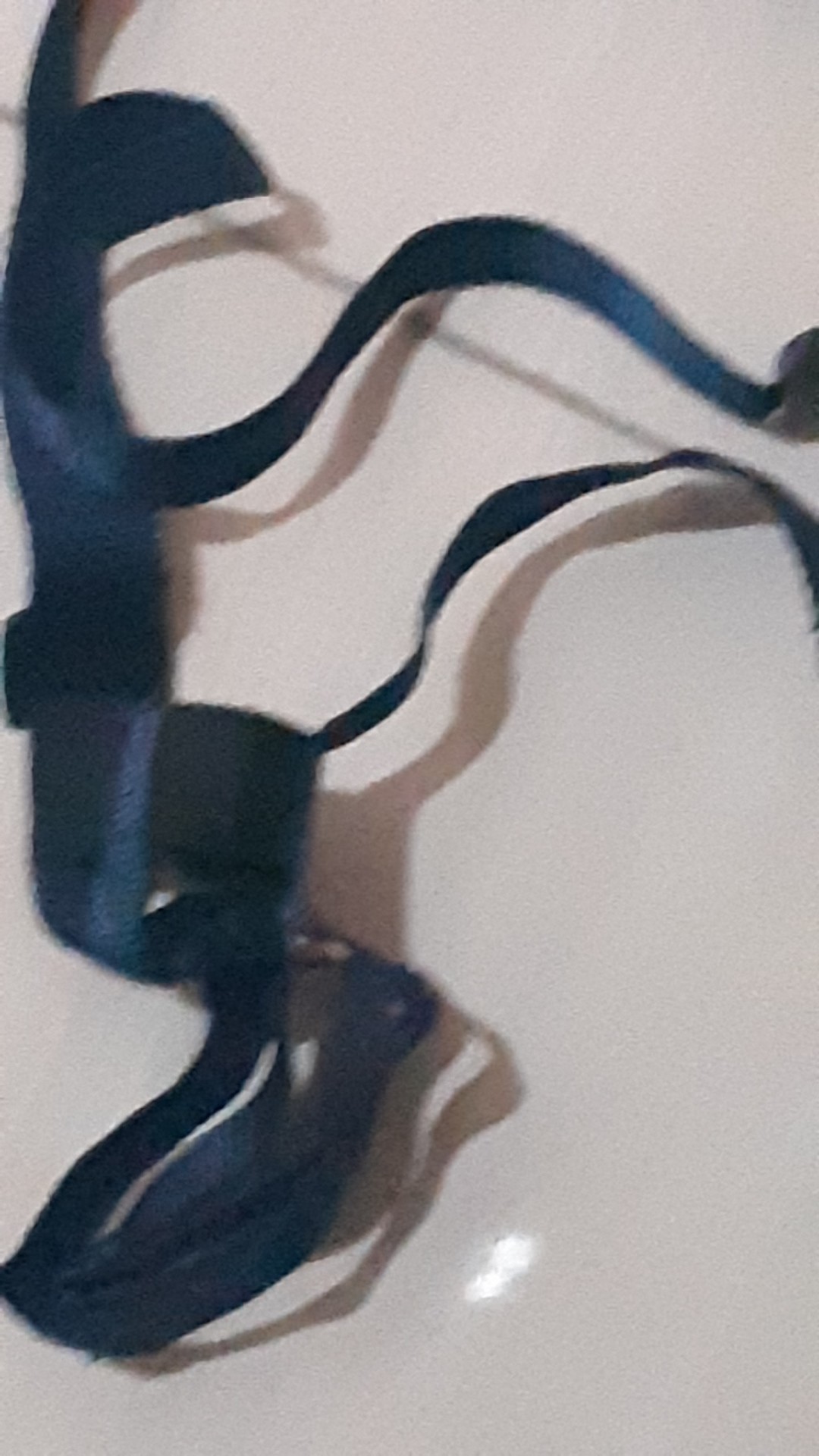 Tali Botol Minum Anak All Size Elastis Warna Warni - Tali Botol Anak All Size Berbagai Ukuran