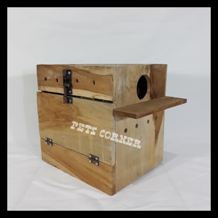 Glodok Lovebird / Glodok Parkit