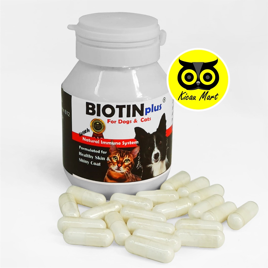 Biotin Plus Vitamin Penumbuh Pelebat Bulu Kucing Anjing Perawatan Bulu Rontok Obat Scabies Penyakit Kulit Suplemen Kucing Anjing Kitten Anabul Bulu Lebat Cat Dog Multivitamin