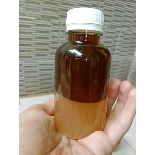 MINYAK PENCA/ MINYAK URUT/PIJAT/ MINYAK BALUR CIMANDE ASLI DARI BOGOR CIMANDE TALANG..