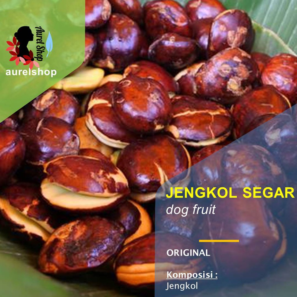 

Jengkol Segar kemasan 1 kg