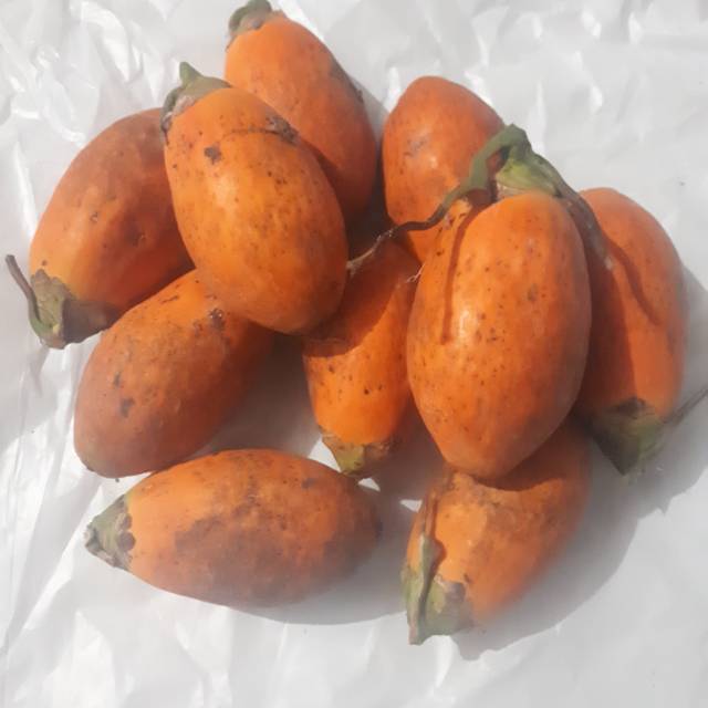 

Buah Pinang Tua-Pinang Matang Segar 1000 Grm