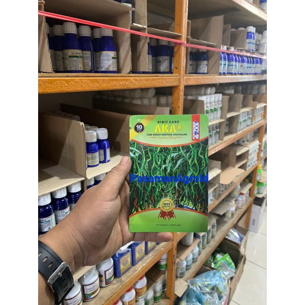 COD - Benih Cabe Akar 10 Gram -  CMK  Akar 100% Asli Sumatera Barat