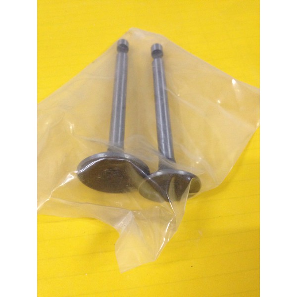 Klep Api Minyak untuk Mesin Robin EY 20