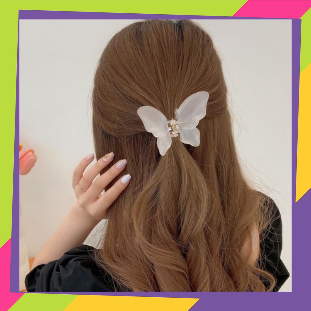 1748 / Jepit rambut kupu kupu / Town shell butterfly jelly korean hair claw / Jedai jepitan rambut