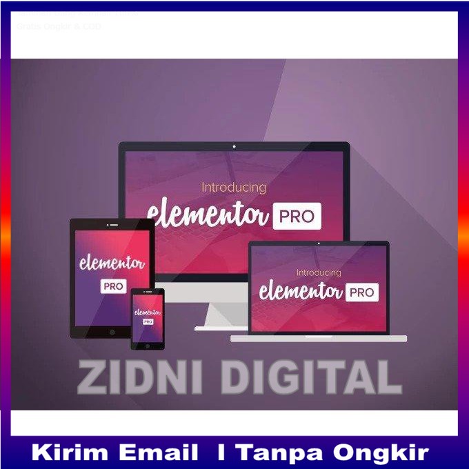 Jual Elementor Pro Wordpress Plugin V.3.0.5 + Elementor Training + Ebook FB & Google Ads