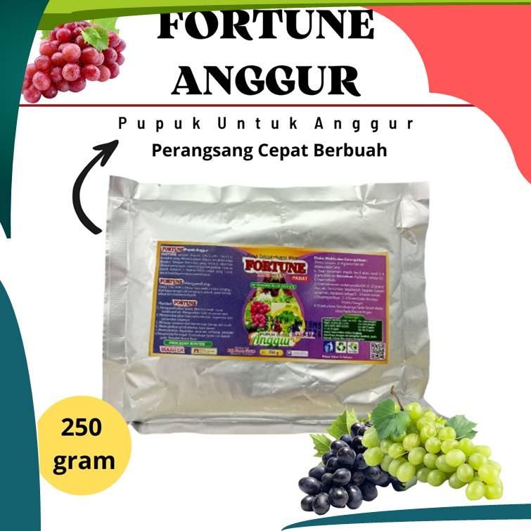 BISA COD Pupuk Anggur Cepat Berbuah, Fortune Booster Anggur, Perangsang Buah Anggur