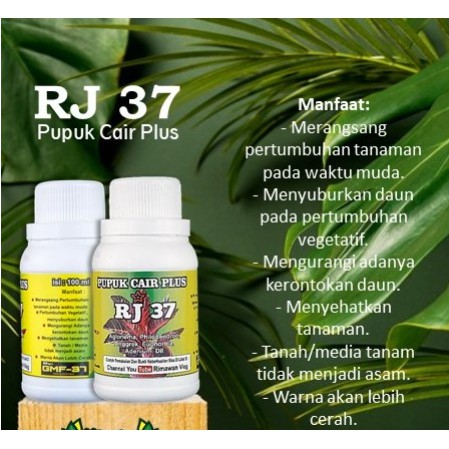 Pupuk Cair Plus RJ 37 - Aglaonema