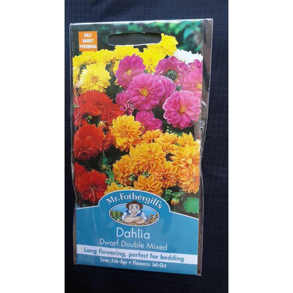 Ready Stock Bunga Dahlia Dwarf Double Mixed Isi 50 Benih / Packs Mr Fothergills