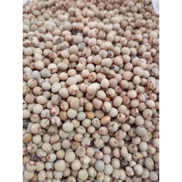 

KACANG GUDE KERING MENTAH (TIDAK DISANGRAI)/250 gram