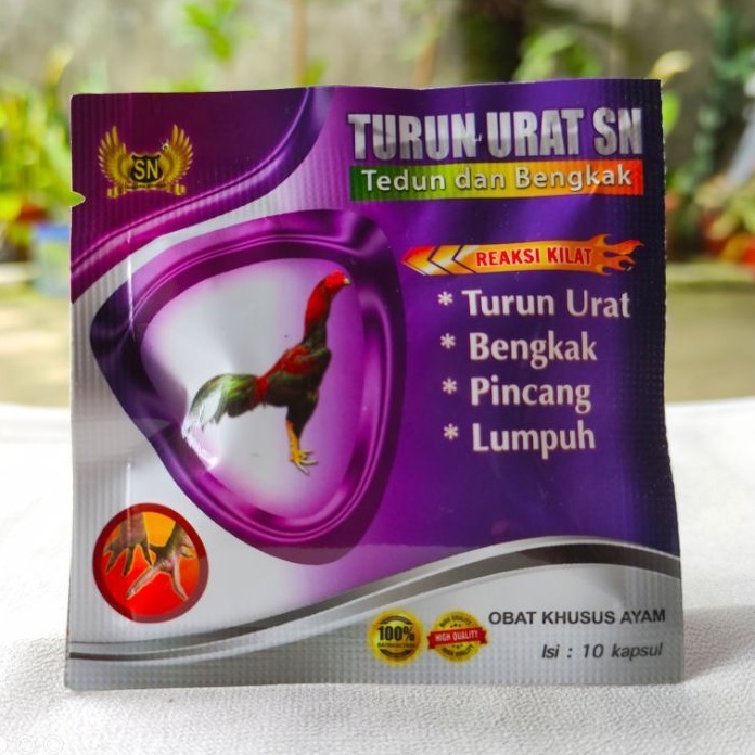 TURUN URAT SN - obat turun urat / tedun / pincang ayam