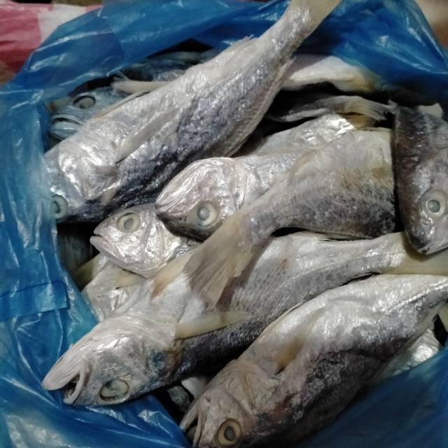 

Ikan Asin kepala Batu asli Medan 100gr