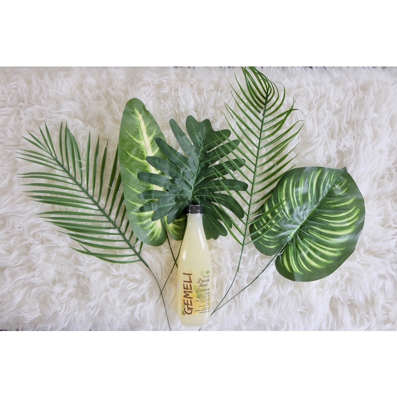 Sari Lemon GEMELI 500ml