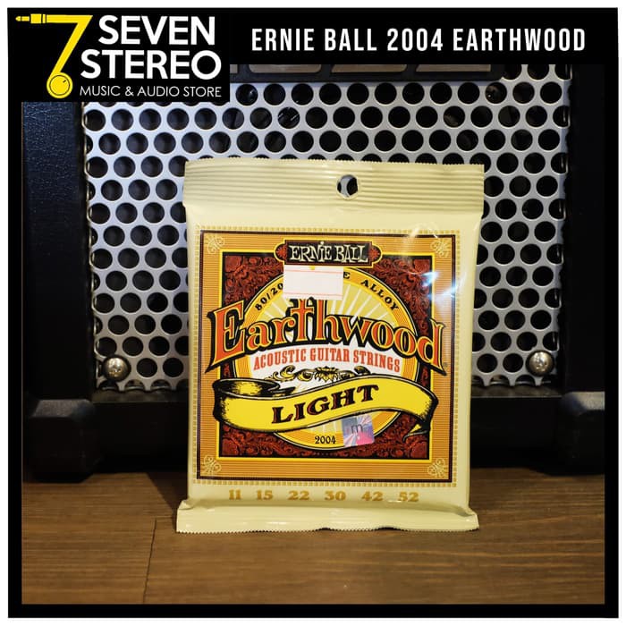 Ernie Ball 2004 Earthwood Light Acoustic Guitar String