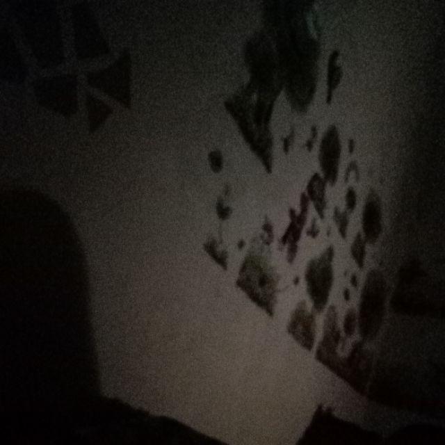 Wallpaper Dinding Murah Kamar Tidur Bambu 3d Hijau Terlaris Termurah Best Seller Elegan Minimalis