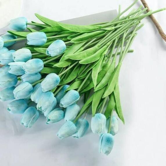 27 Gambar Bunga Tulip Warna Biru Galeri Bunga HD