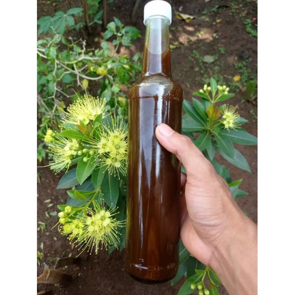 

madu kelanceng levicep liar 100% kemurnianya.sudah terdaftar NO P-IRT 1073318010157-27