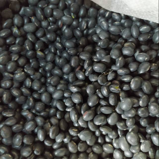 

Kacang Hitam China / Black Bean ( Dalamnya warna hijau )