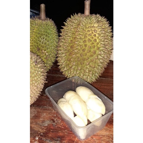 

Durian