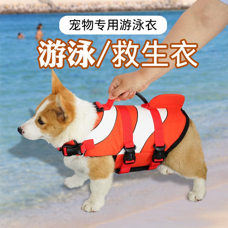 Rompi Pelampung Renang Warna Emas Untuk Anjing Shopee Indonesia