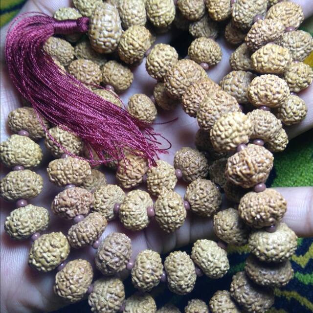 Tasbih jenitri mukhi garis 10 rudraksha genitri ganitri