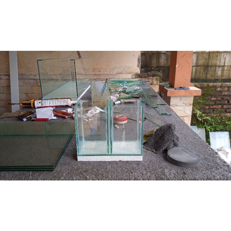 soliter cupang aquarium cupang sekat 2 atau 2 kamar