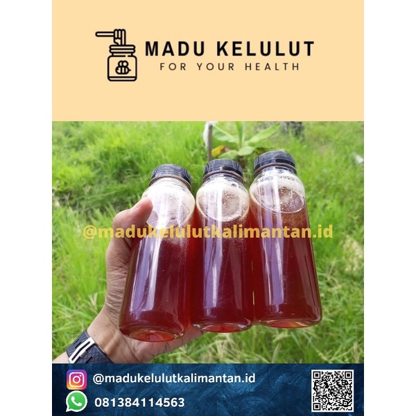 

Madu Kelulut Hutan Kalimantan Kuburaya Pontianak / Madu Klenceng / Madu Trigona 250ml 100% Asli Tanpa Campuran Apapun