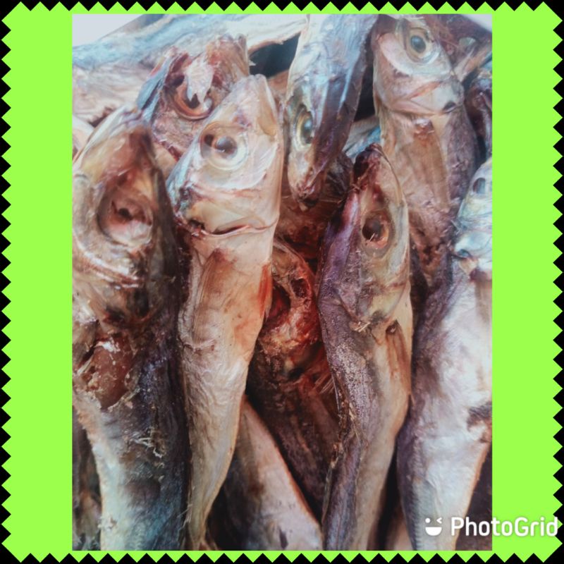 

KLOTOK TOWO 250 GRAM