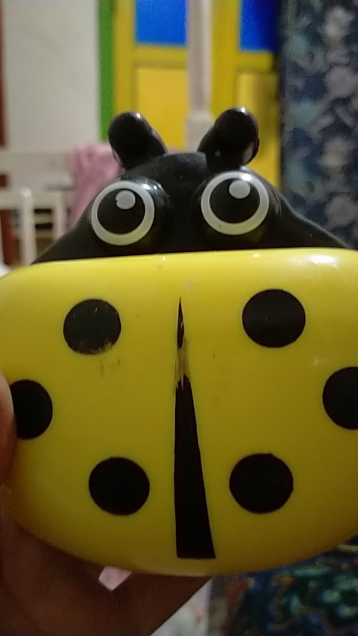 (stok Ready) Tempat Sabun Mandi Batang Lady Bug