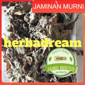 

DAUN DEWA / SAMSIT KERING 100 GRAM - Gynura Divaricata - MURNI - JSR - REMPAH - PREMIUM QUALITY