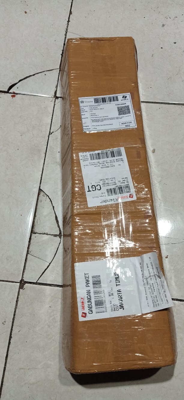 Tanaman Hias Bromelia Varigata - Pohon Bromel Varigata