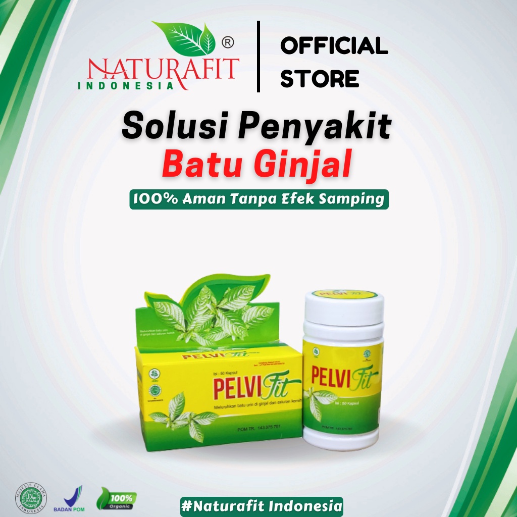 Pelvifit  Obat Batu Ginja Herbal Gagal Ginjal Ampuh, Batu Empedu, Peluruh Batu Ginjal Naturafit