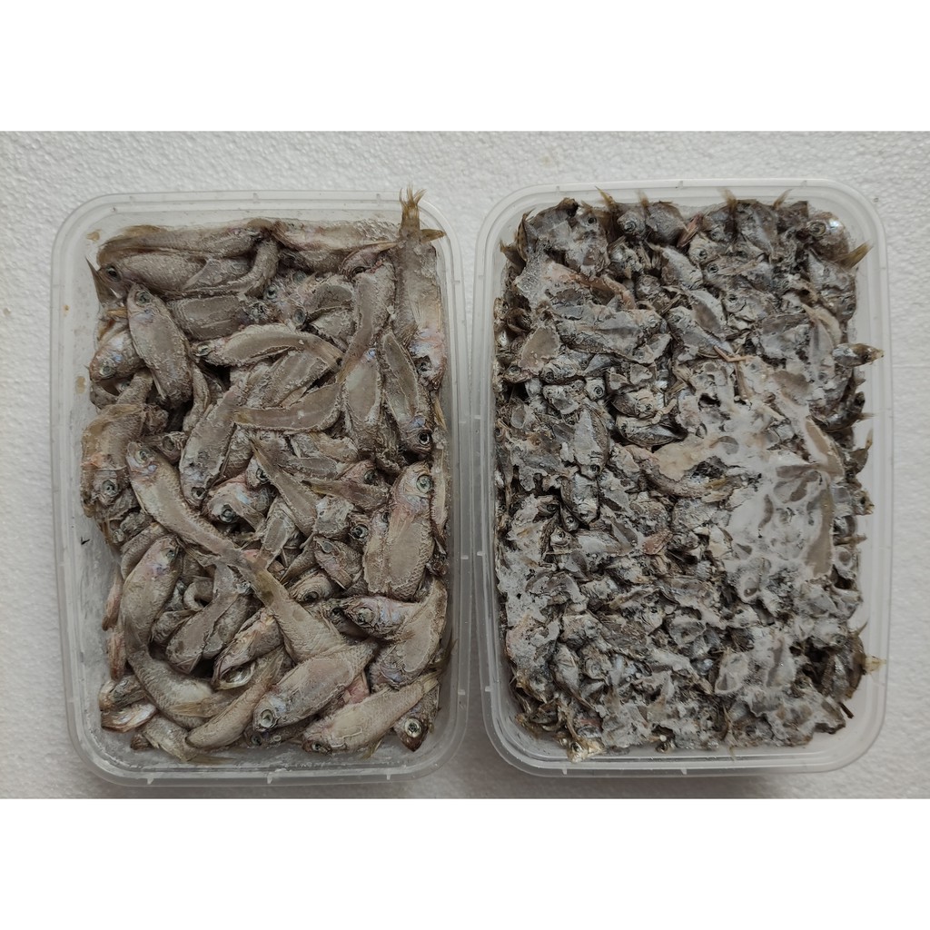 Ikan Wader Weder Cere Beku Frozen Untuk Konsumsi atau Pakan Ikan
