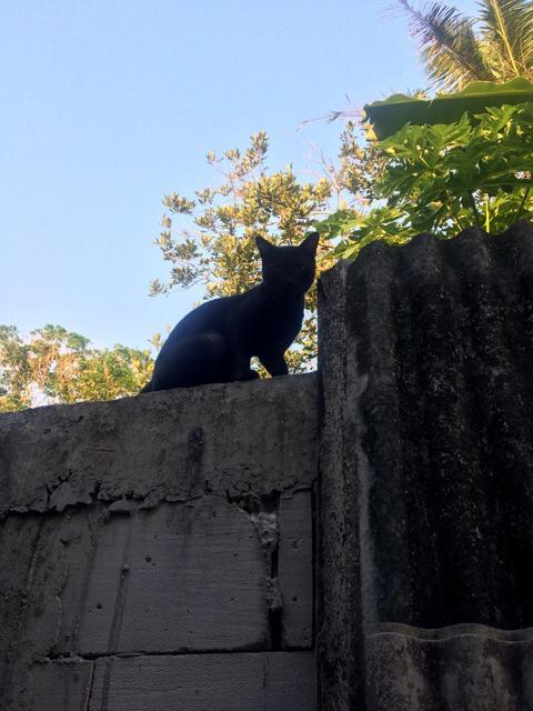 Grendel Pintu Stainless Steel 2inch Weldom