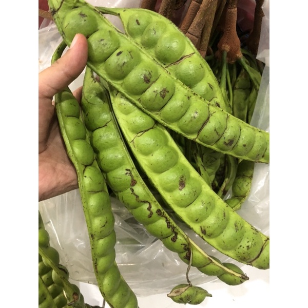 Petai /Pete Segar per Ikat dan kupas