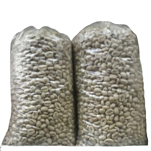 

JUAL KACANG HIJAU TIMBANGAN 1KG MURAH