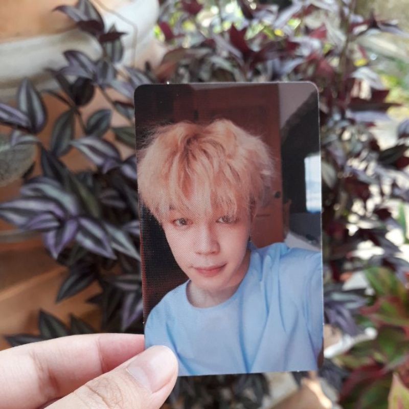 PC Photocard Jimin BTS LOVE YOURSELF HER 'L' Version