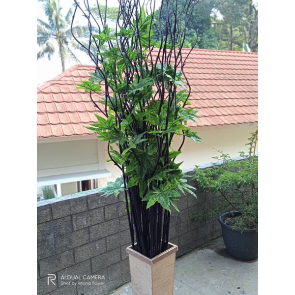 DAUN MAPLE BINTANG HIJAU BAMBU ULIR GONDANI