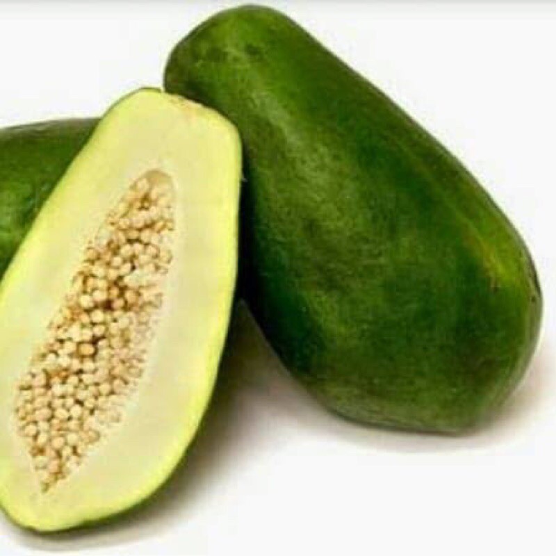 

pepaya muda segar 1kg