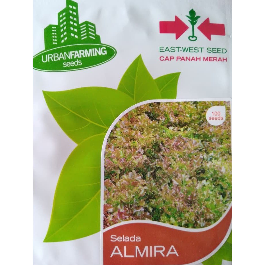 Benih Selada Merah Almira Cap Panah Merah 100 Seeds