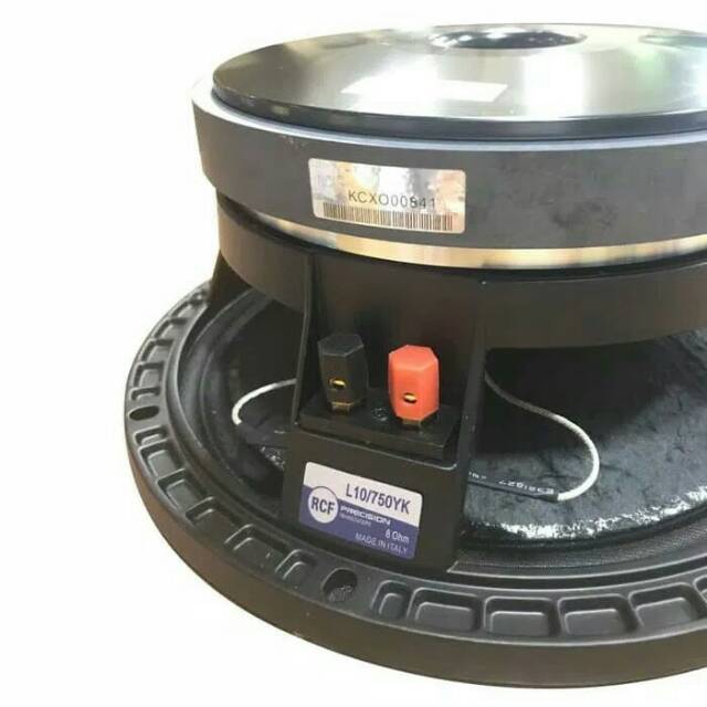 speaker rcf 10 in