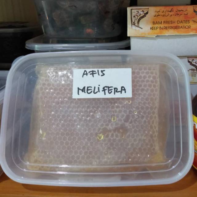 

Madu Sarang Honeycomb 500 Gram