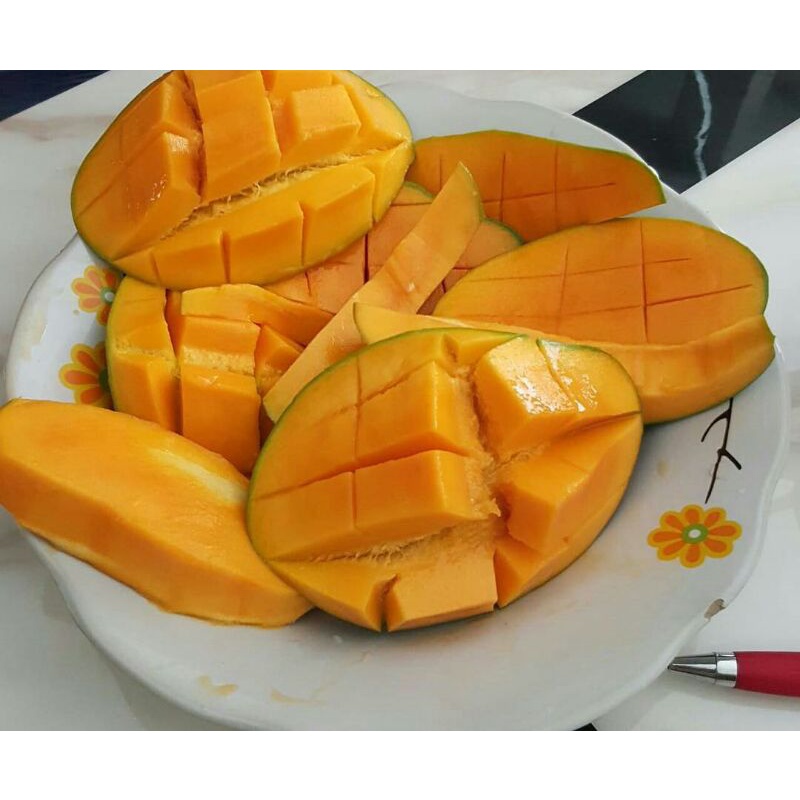 

Mangga Harum Manis Mateng Pohon
