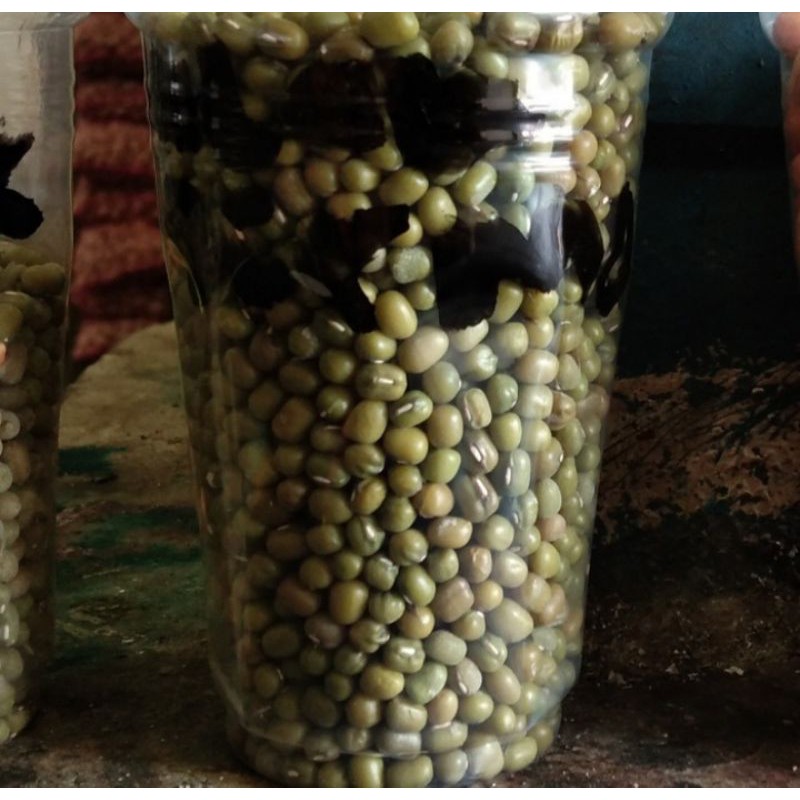 

Kacang Hijau Birma 1 Kg