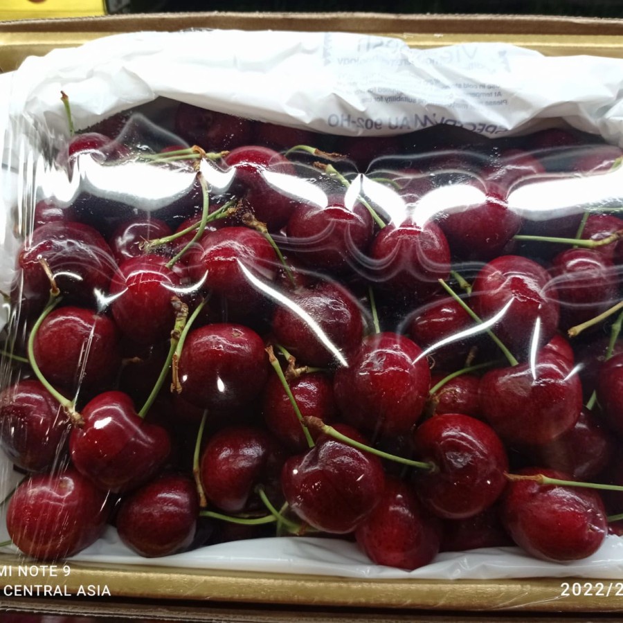 

RED CHERRIES TASMANIAN 43 DEGREE SOUTH PER DUS